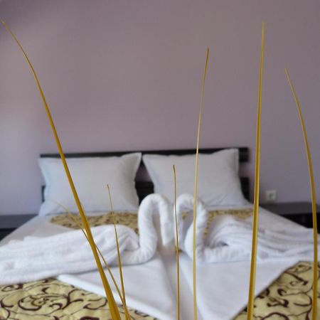 Sea View Apartments Sozopol Luaran gambar