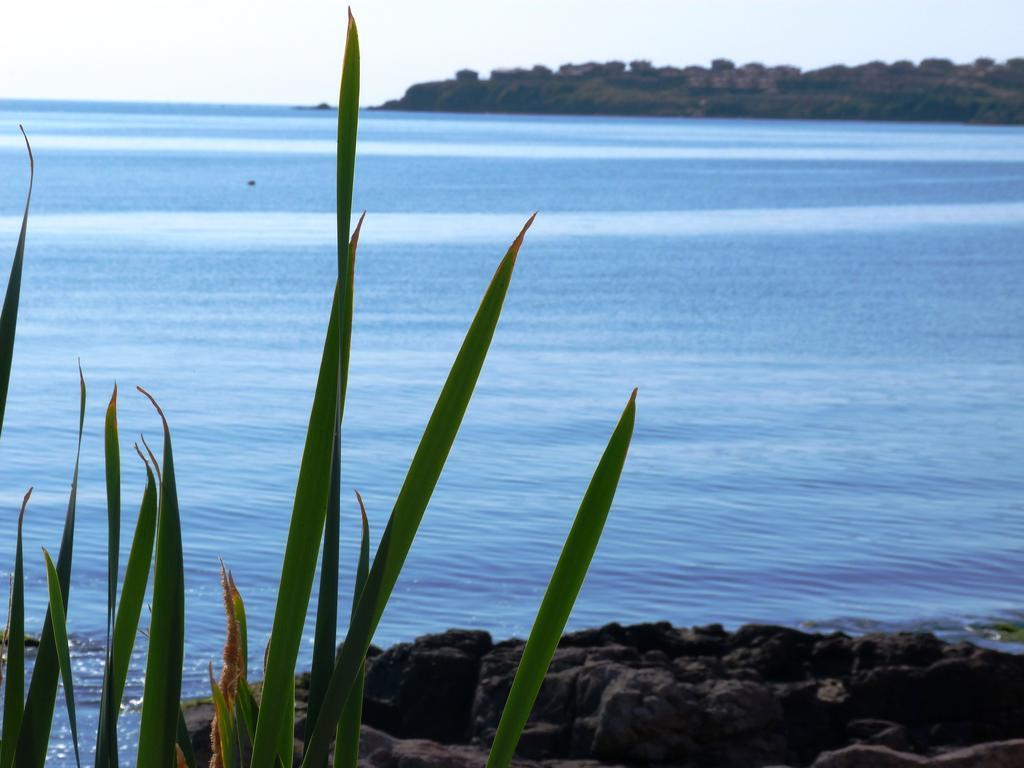 Sea View Apartments Sozopol Bilik gambar