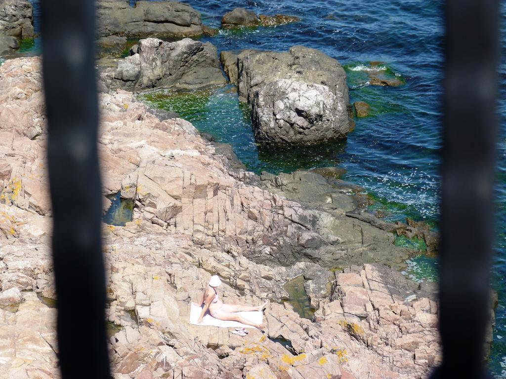 Sea View Apartments Sozopol Bilik gambar